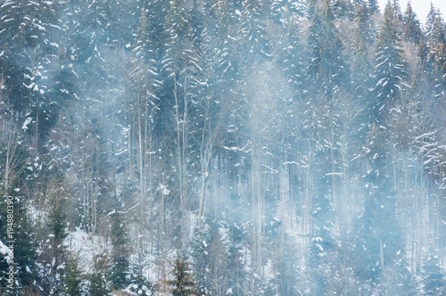 Beautiful snowy mountain forest in boiler plant fumes