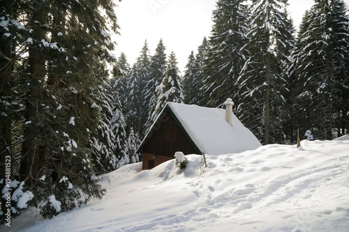 Hut hidden in the woods in snow during winter. Slovakia