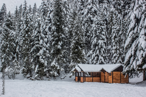 Winter nature mountain landscape