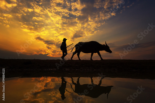 Silhouette sunset with lifestyle countryside,Silhouette Animal husbandry in countryside,Farmer with animal dark tone