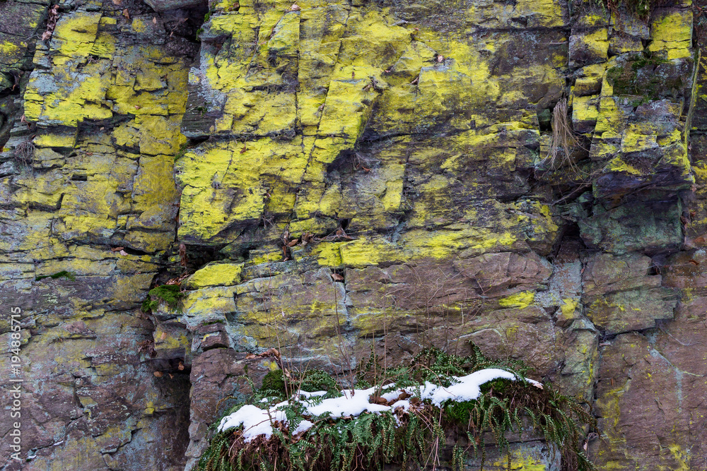 Big mountain rock stones, covered with lichen. Closeup of a rock surface with lots of green lichen (psilolechia lucida) Big mountain rock stones, covered with lichen. Closeup of a rock surface with lots of green lichen (psilolechia lucida)