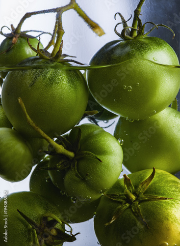 tomates vertes ,  fruits ,  recolte ;vert  , photo