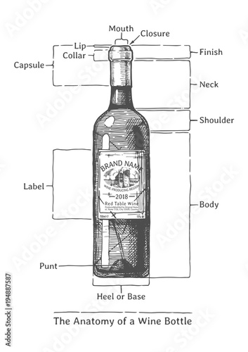 Hand drawn Illustration of a Wine bottle