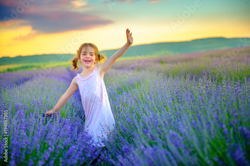 Fototapeta Naklejka Na Ścianę i Meble -  beautiful little girl is walking and having fun on the lavender field at sunset