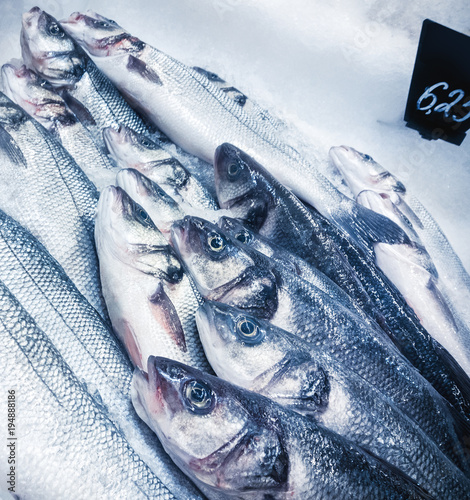 fishmarket