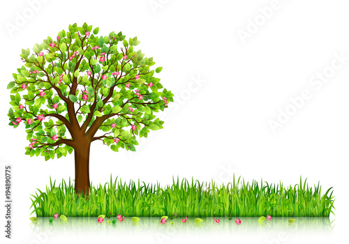 Naklejka Wiosny natury tło z kwitnąć drzewa i zielonej trawy wektor