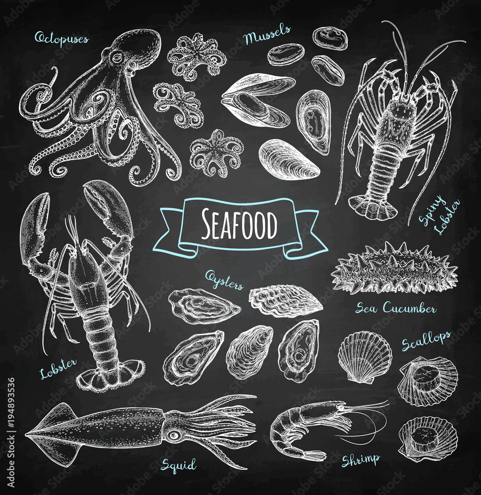 Seafood chalk sketch Seafood chalk sketch