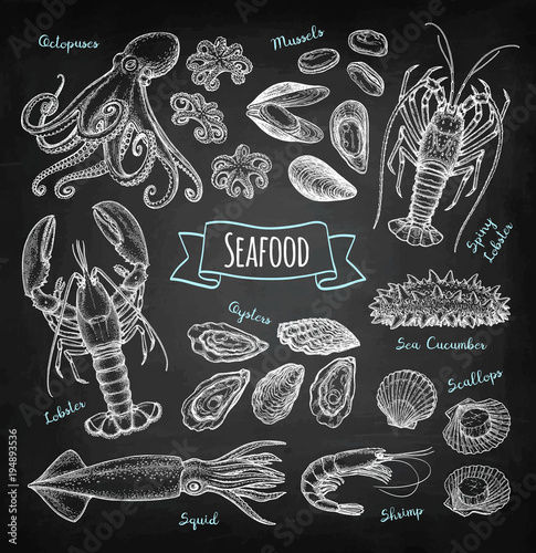 Seafood chalk sketch