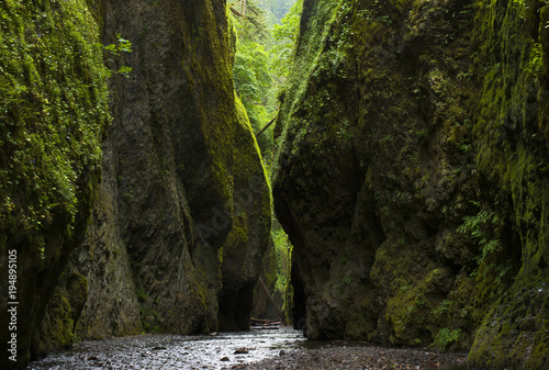 Oregon Gorge