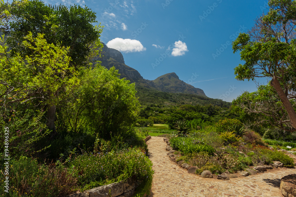 View of the Kirstenbosch National Botanical Garden in Cape Town, South Africa