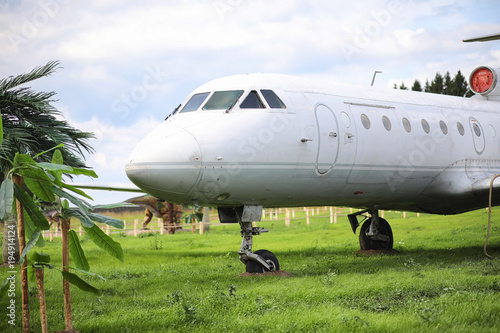Plane in the jungle. The plane landed in the dense vegetation of