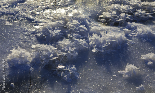 Beautiful natural ice flowers on ice surface, DOF
