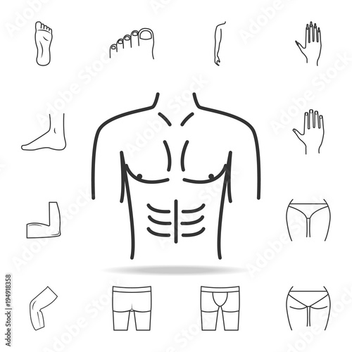 male breasts icon. Detailed set of human body part icons. Premium quality graphic design. One of the collection icons for websites, web design, mobile app