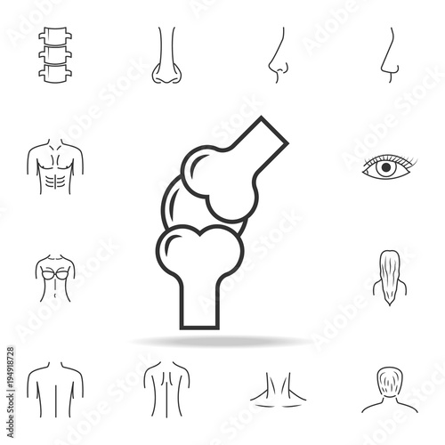 Knee icon. Detailed set of human body part icons. Premium quality graphic design. One of the collection icons for websites, web design, mobile app