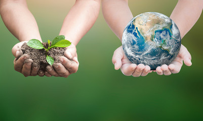Hands holding small plant with soil and earth globe on green background