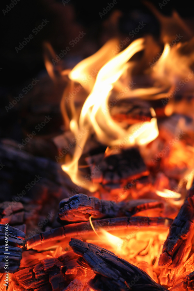 Smoldering ashes of a bonfire. Smoldering ashes of a bonfire.