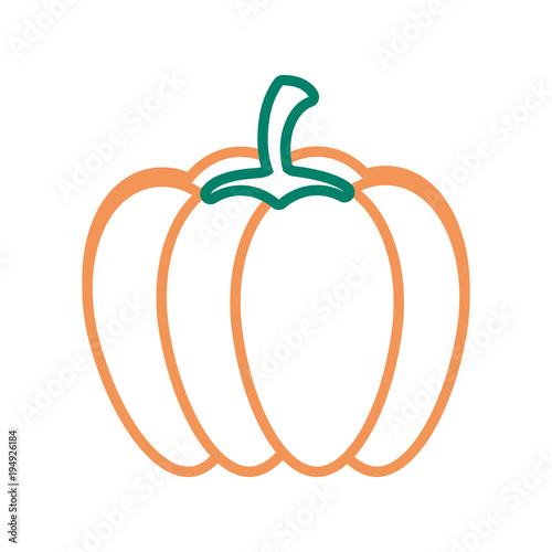fla line  colored pumpkin over white background vector illustration