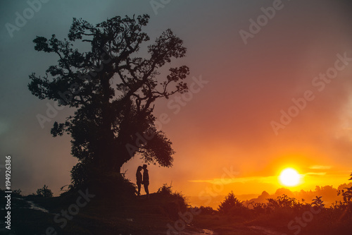 Tree Love photo