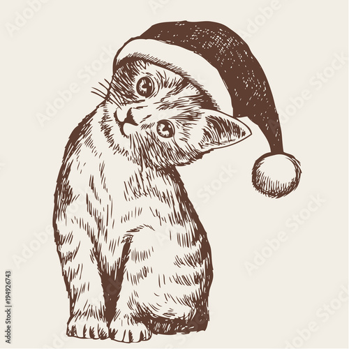  little cat, kitten with christmas santa hat