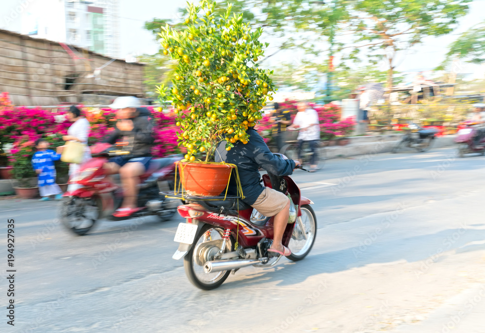 Ho Chi Minh City, Vietnam - February 14, 2018: A Vietnamese man is driving motorcycle loaded with Fortunella japonica or Kumquat behind for decoration purpose lunar New Year in Ho Chi Minh, Vietnam