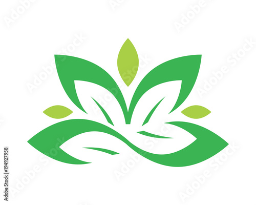 green ornamental leaves image vector icon