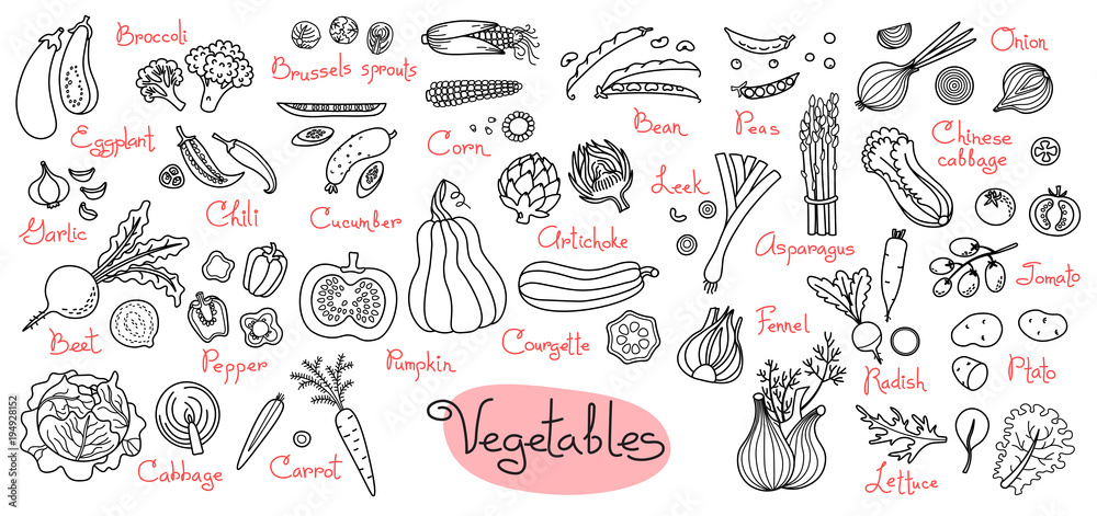 Set drawings of vegetables for design menus, recipes and packages product Set drawings of vegetables for design menus, recipes and packages product