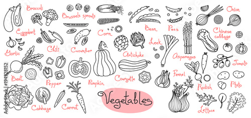 Set drawings of vegetables for design menus, recipes and packages product