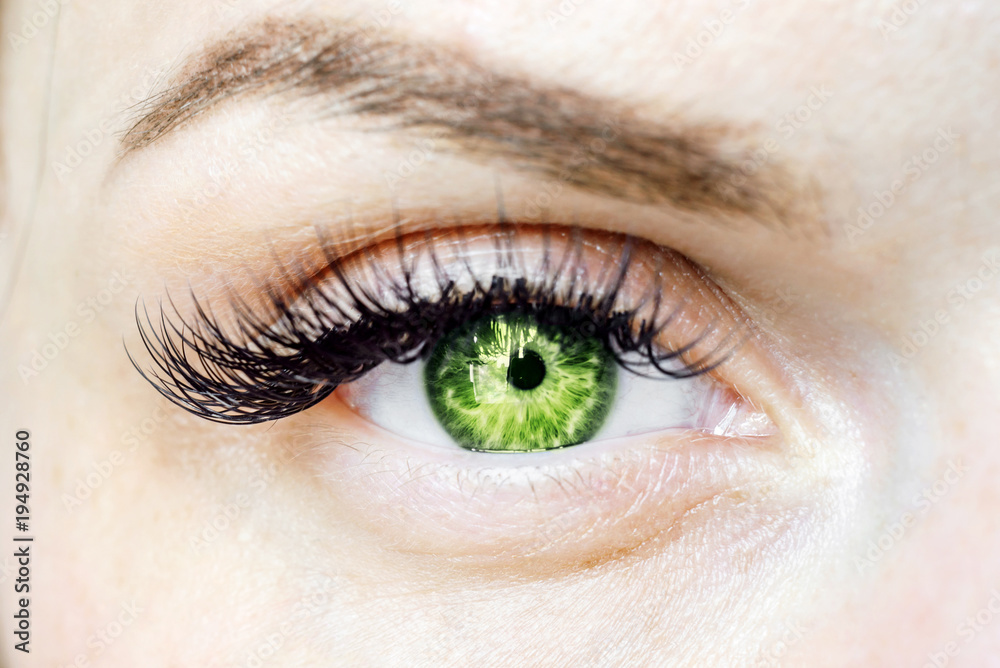 Obraz premium female green eye looking at the camera, color contact lenses