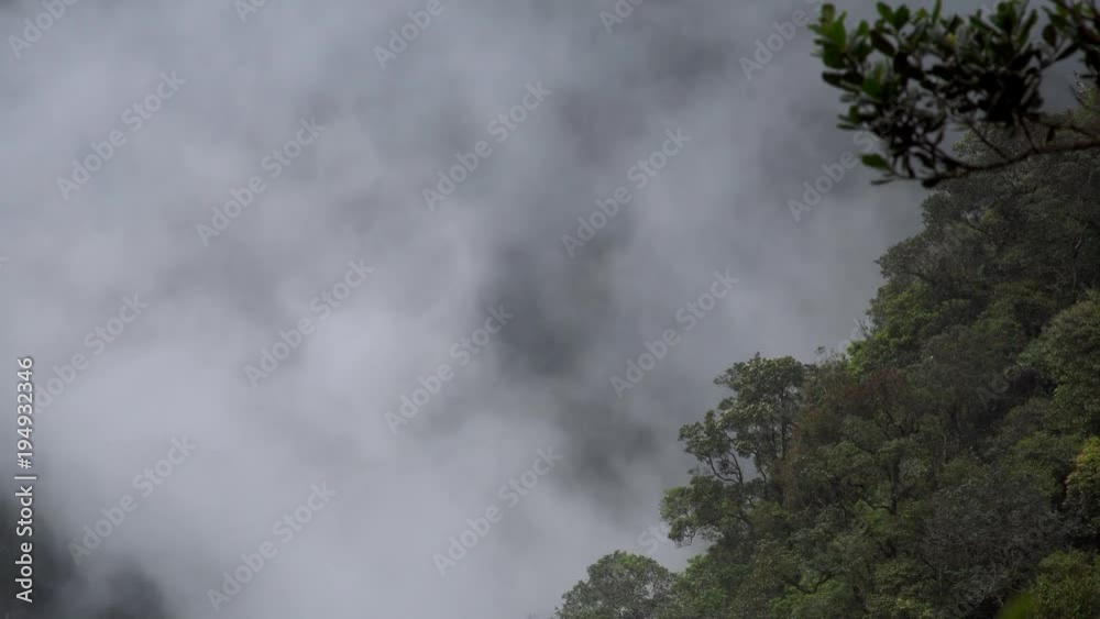Thick Forest Fog and Smoke Moving in Mountain Thick Forest Fog and Smoke Moving in Mountain