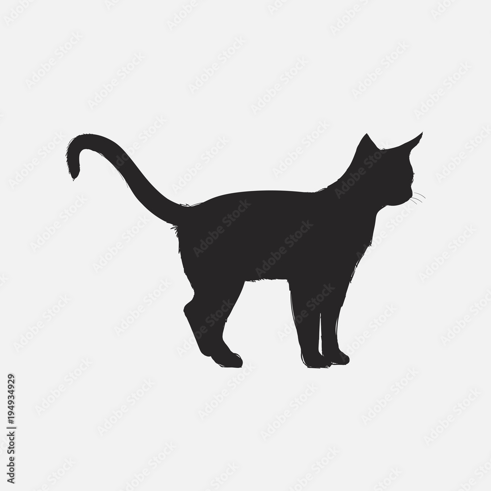Illustration of cat 