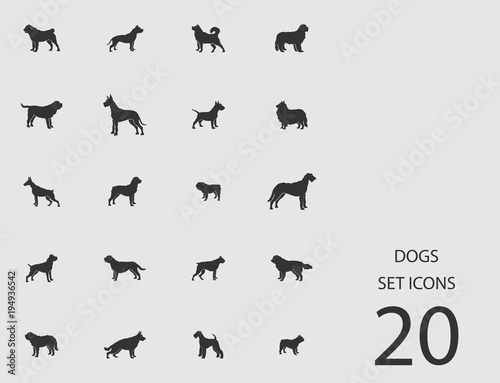Dogs set of flat icons. Vector illustration