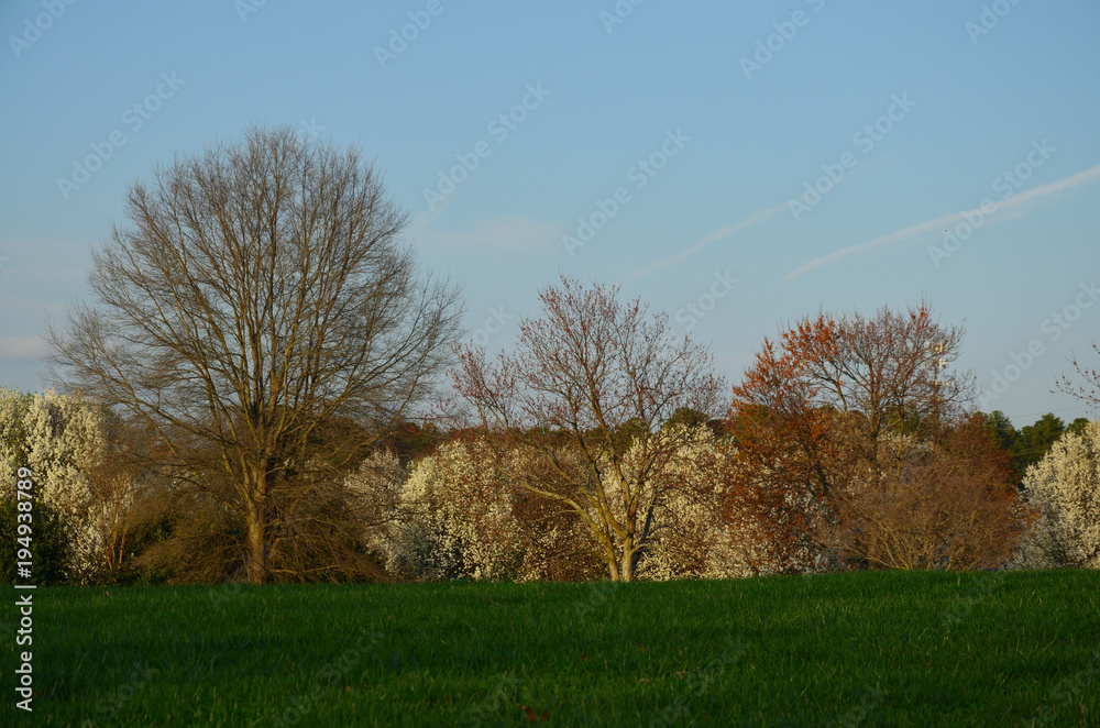 Fototapeta premium Autumn begins