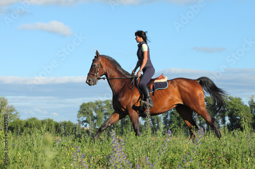 Young rider woman galloping on bay horse on meadow 