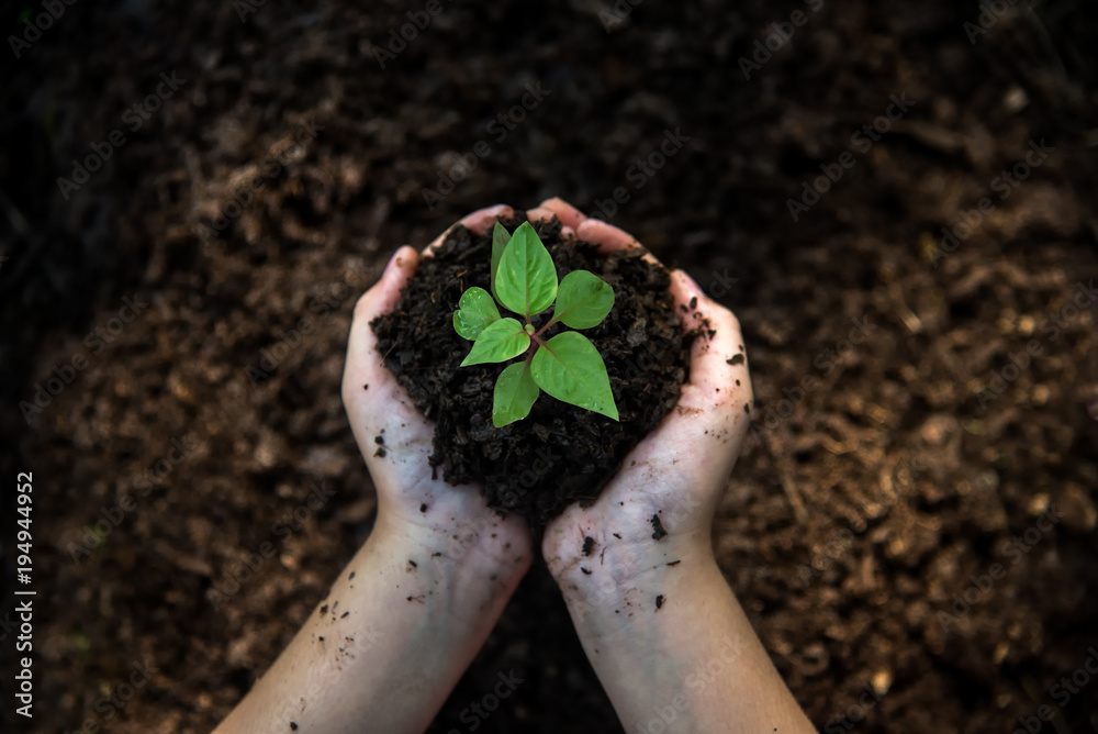 Φωτογραφία Hands child holding young plants on the back soil in the nature park of growth of plant for reduce global warming