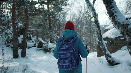 FOLLOW Young female hiking with a backpack in beautiful winter forest. uses sticks for Nordic walking photo