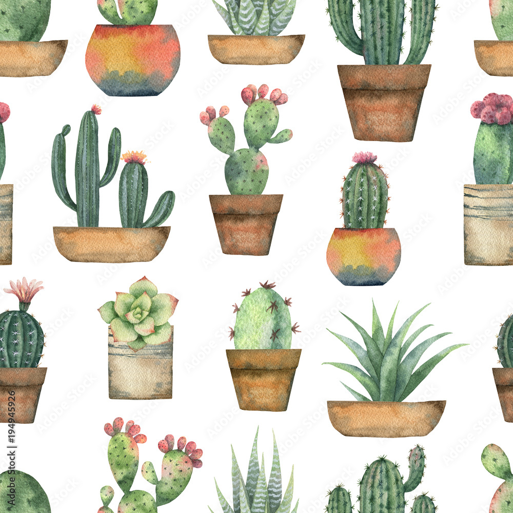 Watercolor seamless pattern of cacti and succulent plants isolated on white background. Watercolor seamless pattern of cacti and succulent plants isolated on white background.