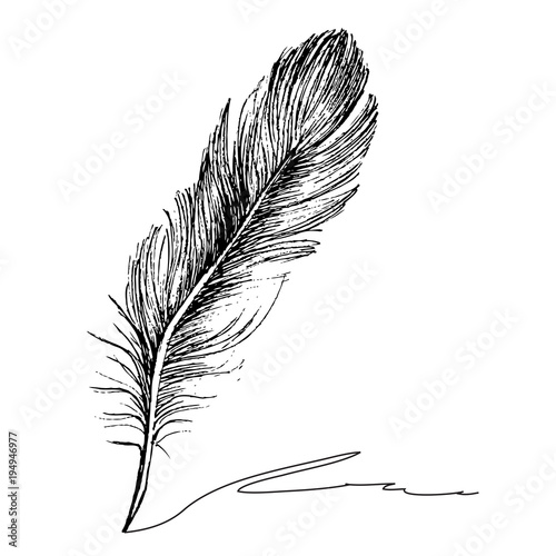 Feather with ink.