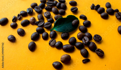 coffe beans and green leaf photo