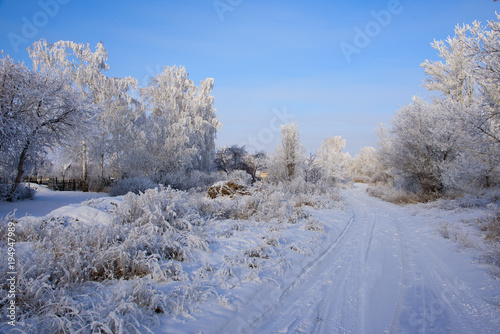 Зимняя просёлочная дорога