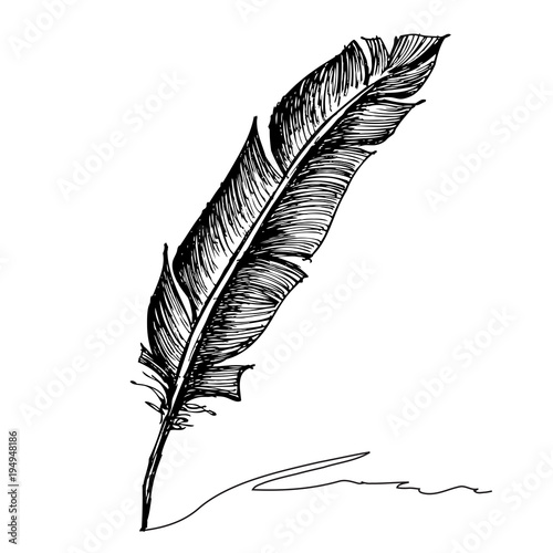 Feather with ink.