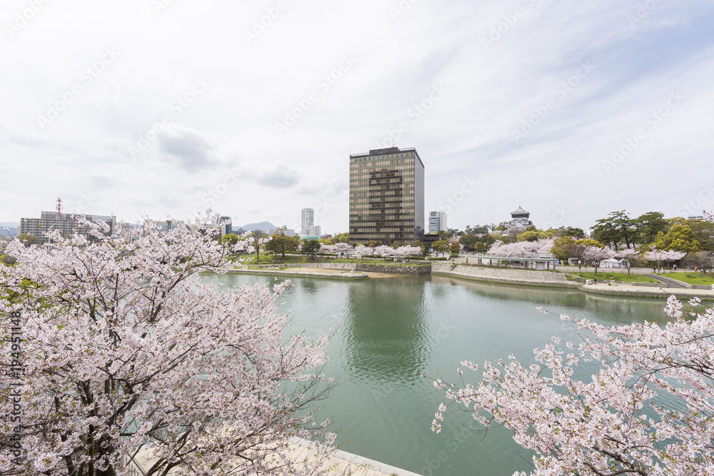 紫川の桜と小倉市街地