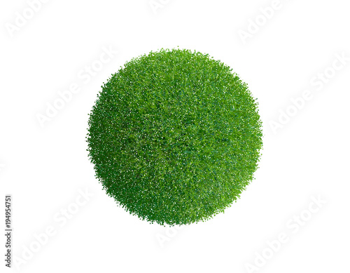 Grass sphere. Isolated on white background. Vector illustration.
