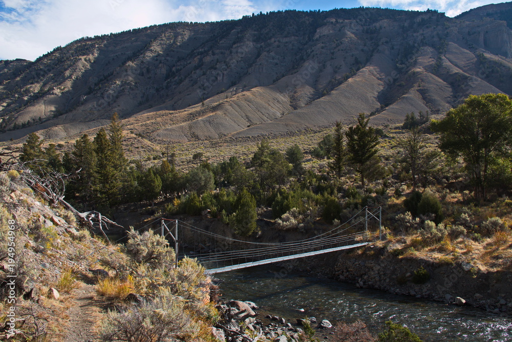 Lava creek top trail yellowstone