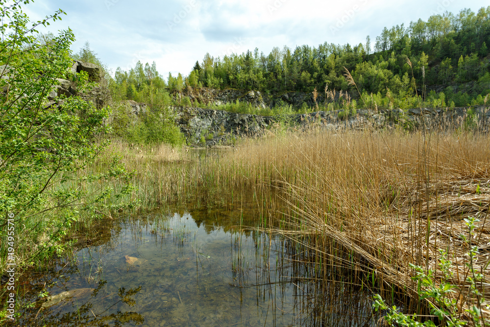 Obraz premium abandoned flooded quarry, Czech republic
