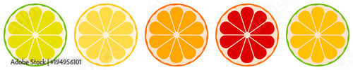 vector citrus fruits: lemon, lime, tangerine, orange, grapefruit