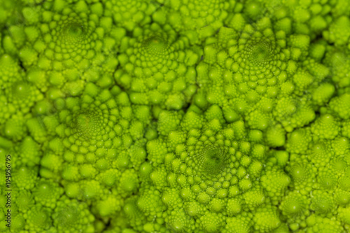 Closeup of romanesco broccoli, also known as Roman cauliflower 