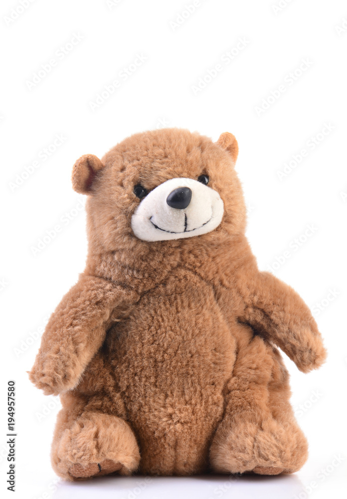 Fototapeta premium Plush grizzly bear