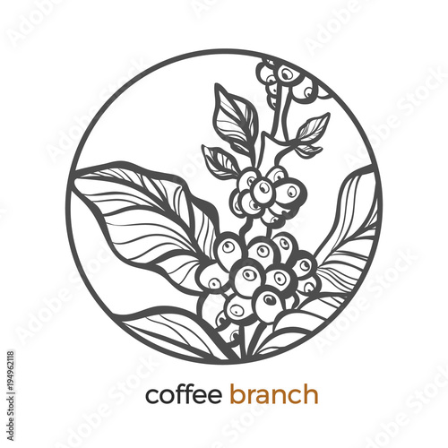 Coffee branch logo with leaf and bean