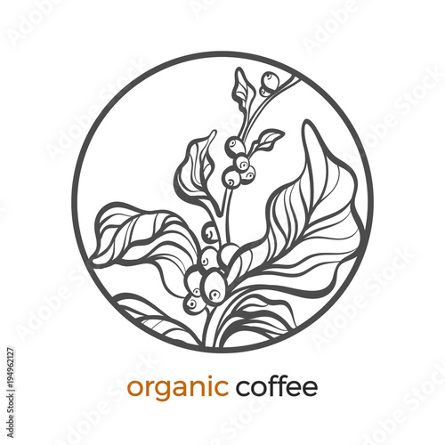 Coffee branch logo with leaf and bean
