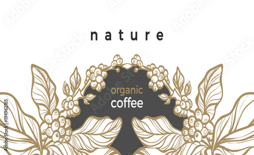 Template of coffee branch. Vector illustration